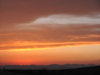 Desert Sunset